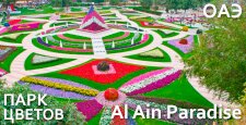 Парк цветов в ОАЭ Al Ain Paradise